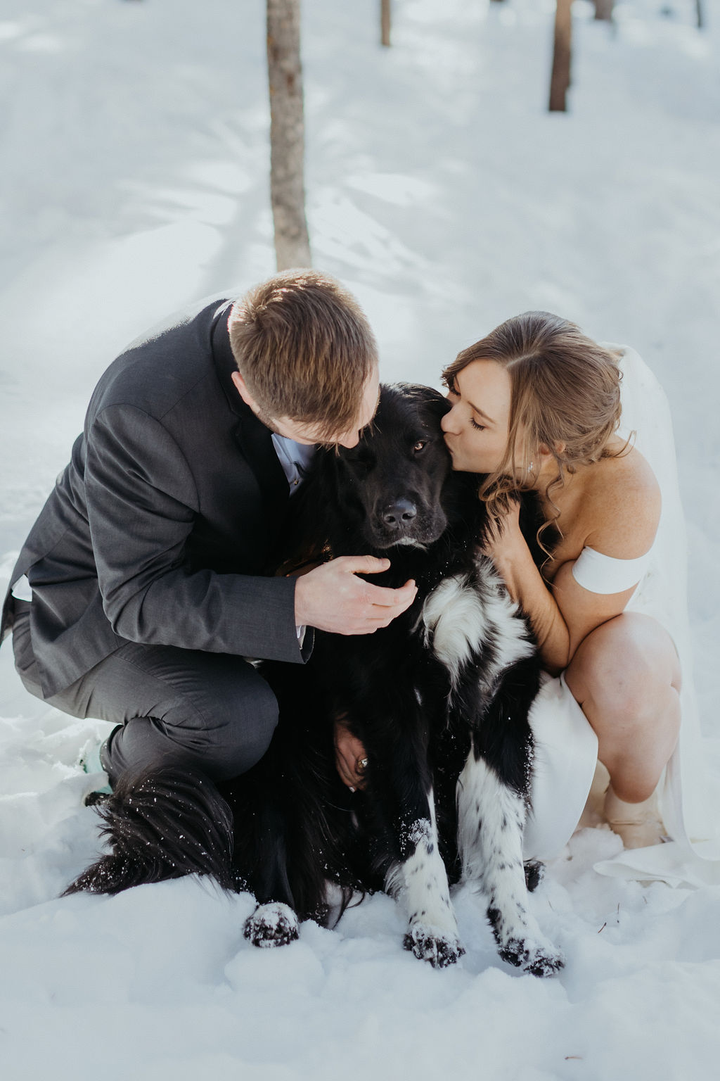 Newlyweds bend down in the snow to kiss their puppy at their san juan mountains elopement