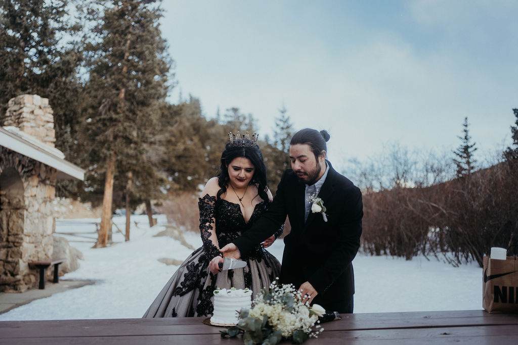 Newlyweds cut the cake on a wooden park bench in the snowy mountains