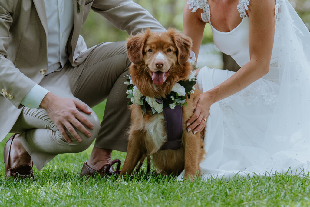 dog witnesses marriage in colorado wedding