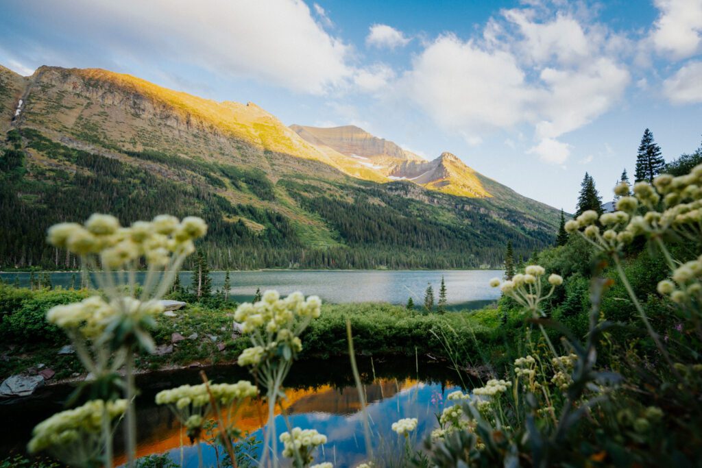 stunning landscape glacier national park elopement